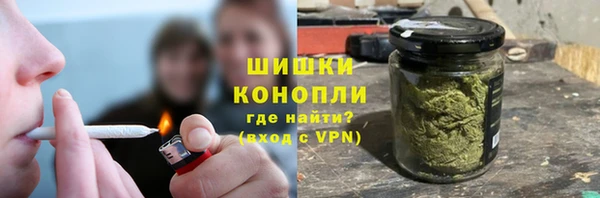 дмт Инта