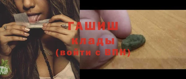 дмт Инта