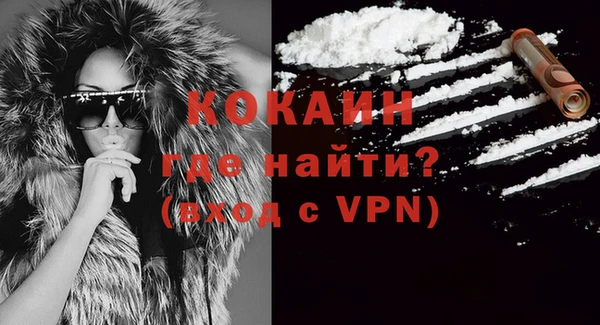 дмт Инта