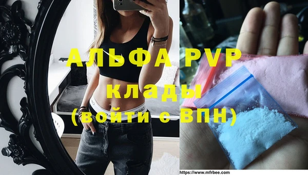 дмт Инта