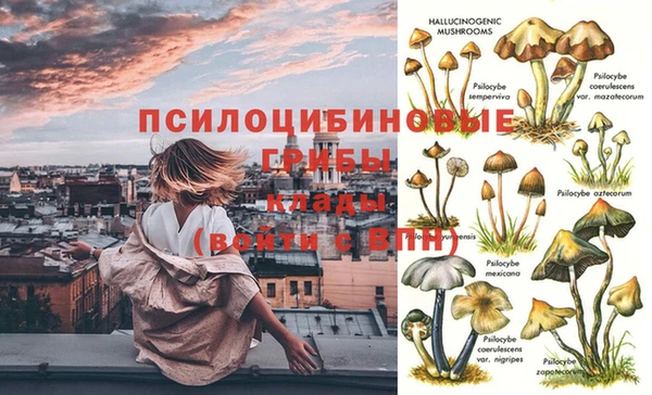 дмт Инта