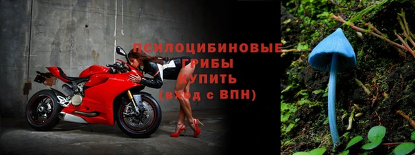 2c-b Иннополис