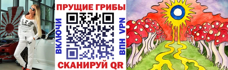Псилоцибиновые грибы Cubensis  Купить где  Калининск 